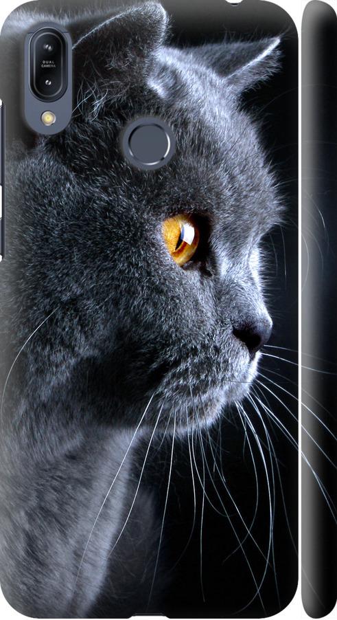 Чехол на Asus Zenfone Max M2 ZB633KL Красивый кот (3038m-1629-42517)