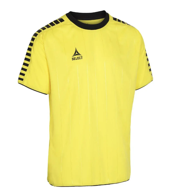 Футболка Select Argentina player shirt на 14 лет XS Желто-черный (622500-012)