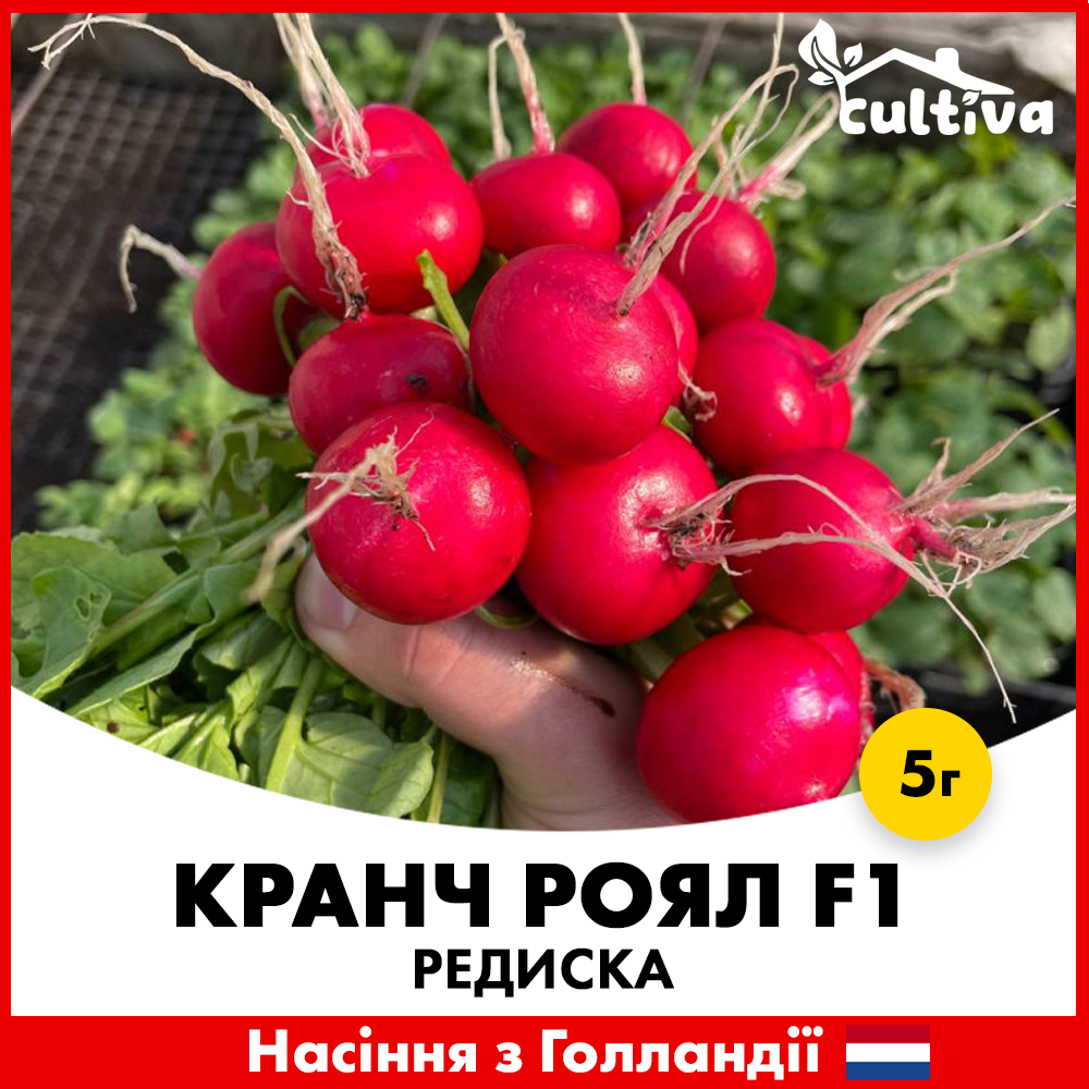 Семена редиса Sakata Кранч Роял F1 5 г (R50223-5)