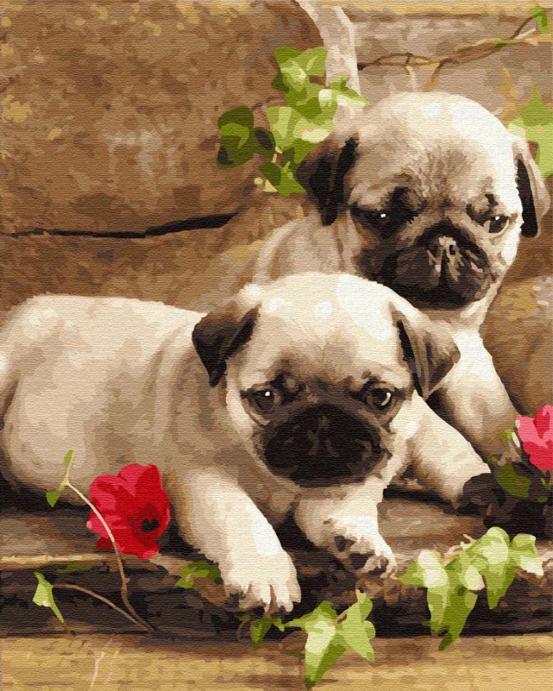 Картина по номерам Brushme "Маленькие мопсы" (GX28767)