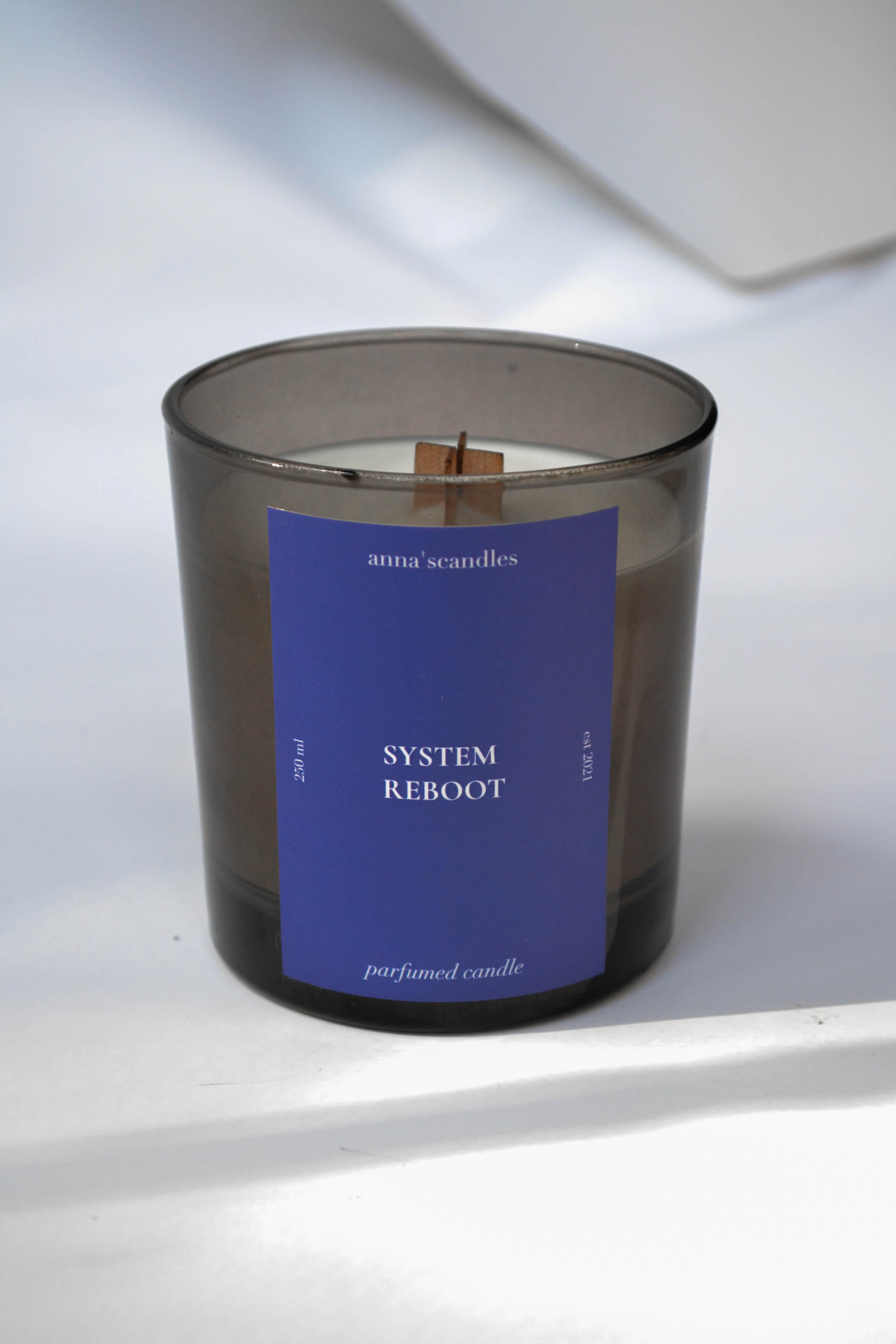 Аромасвічка anna'scandles SYSTEM REBOOT у склі 250 мл (24366198)