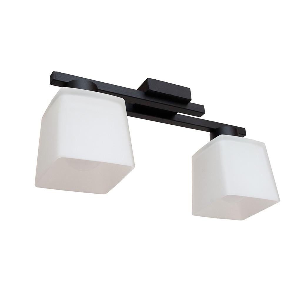 Люстра MSK ELECTRIC Dublin на два плафони під лампи Е27 Чорний (NL 16610-2 BK)