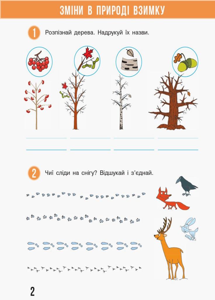 Рабочая тетрадь к учебнику Н. М. Бибик НУШ Я исследую мир. 1 класс. Часть 2 Т530215У (9786170946751) - фото 3 Рабочая тетрадь к учебнику Н. М. Бибик НУШ Я исследую мир. 1 класс. Часть 2 Т530215У (9786170946751) - фото 3