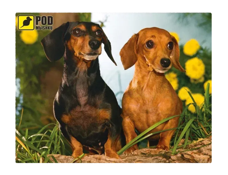 Килимок для миші Podmyshku Таксі ПВХ 240x190x1,4 мм (7552e499) Килимок для миші Podmyshku Таксі ПВХ 240x190x1,4 мм (7552e499)