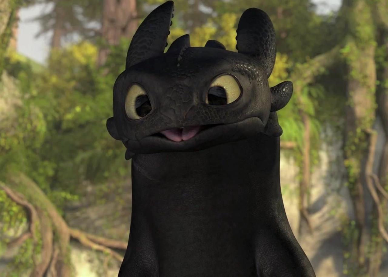 Картина GeekLand How to train your dragon Как приручить дракона Беззубик