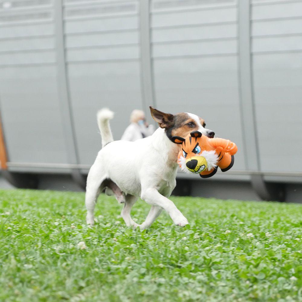 Іграшка для собак Croci Warriors Tiger з пискавкою 18x12x12 см (1684413254) - фото 3 Іграшка для собак Croci Warriors Tiger з пискавкою 18x12x12 см (1684413254) - фото 3
