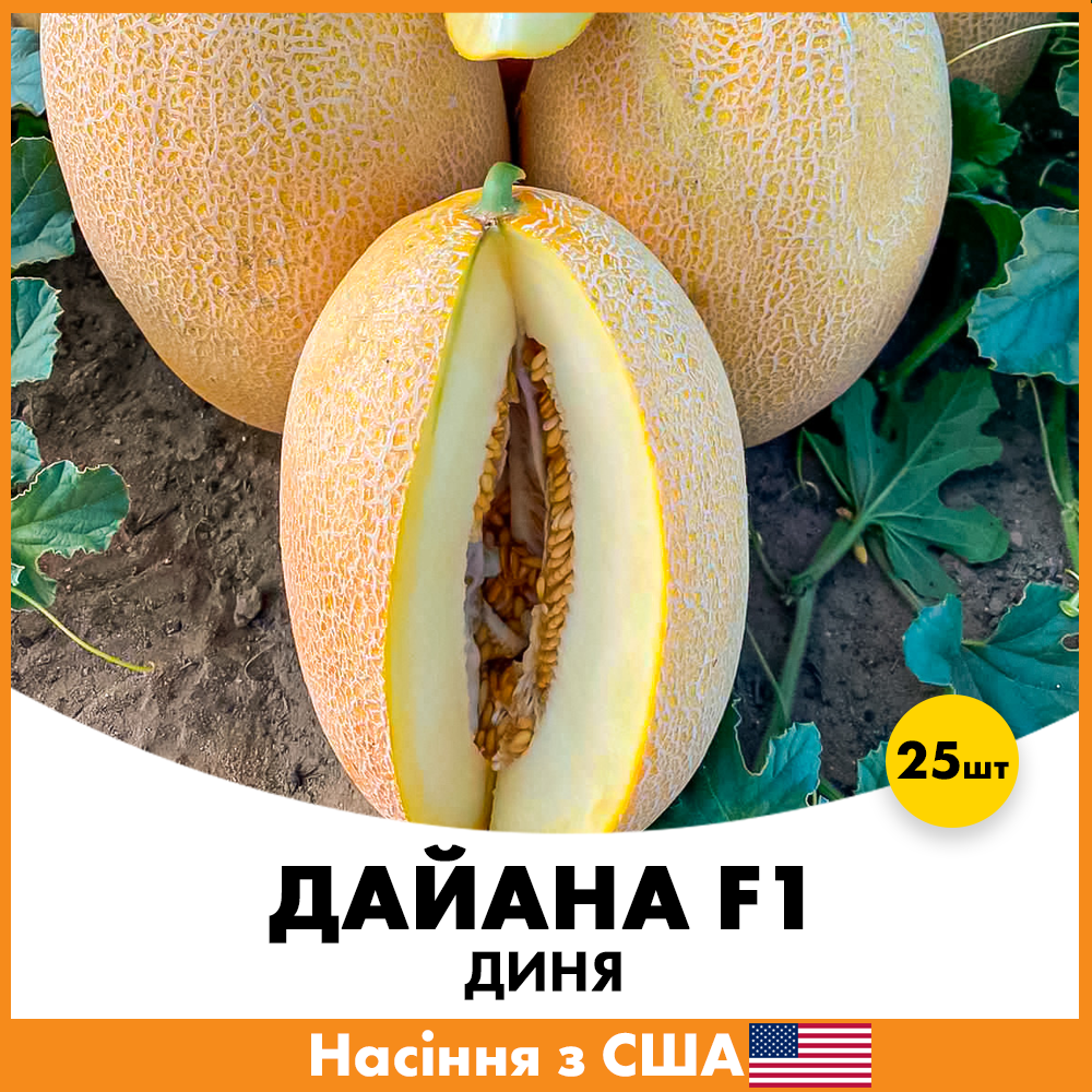 Семена дыни Innova Seeds Дайана F1 25 шт. (jkl10-25)