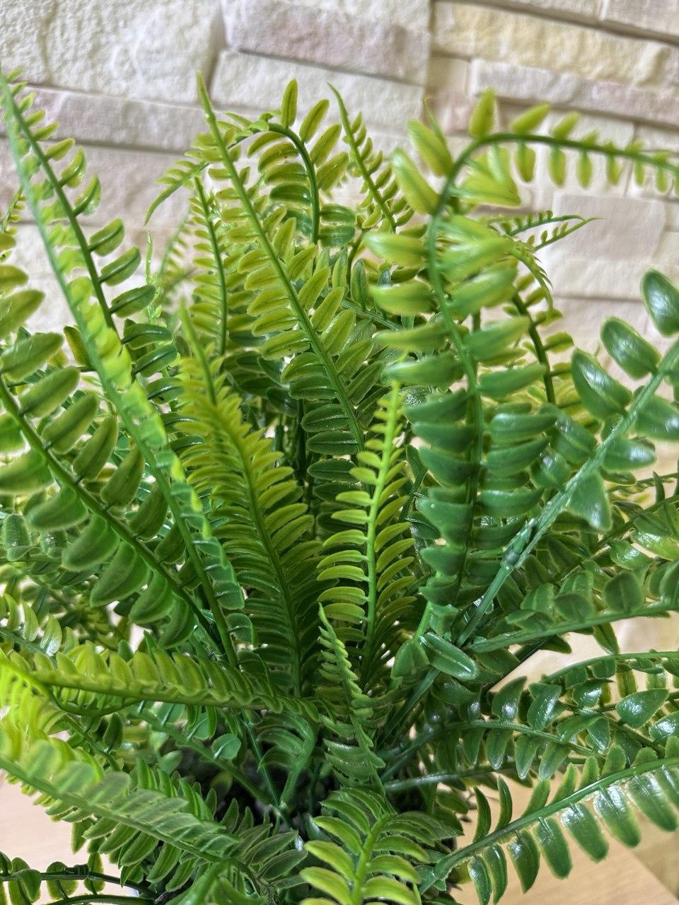 Вазон с искусственным папоротником ПЛАСТМАКС (25087355) - фото 4 Вазон с искусственным папоротником ПЛАСТМАКС (25087355) - фото 4