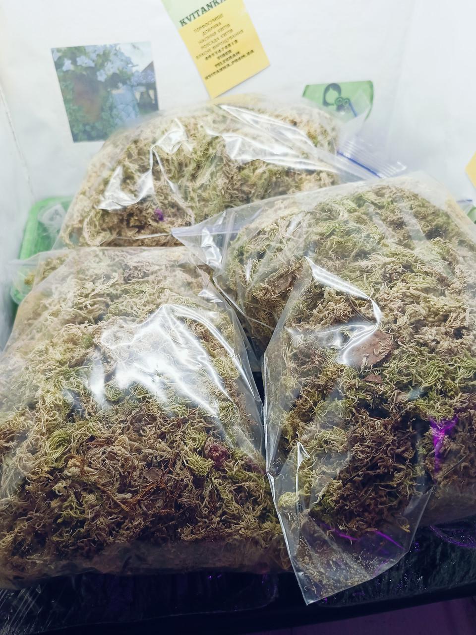 Мох сфагнум сухой 3 л (2438984699) - фото 3 Мох сфагнум сухой 3 л (2438984699) - фото 3