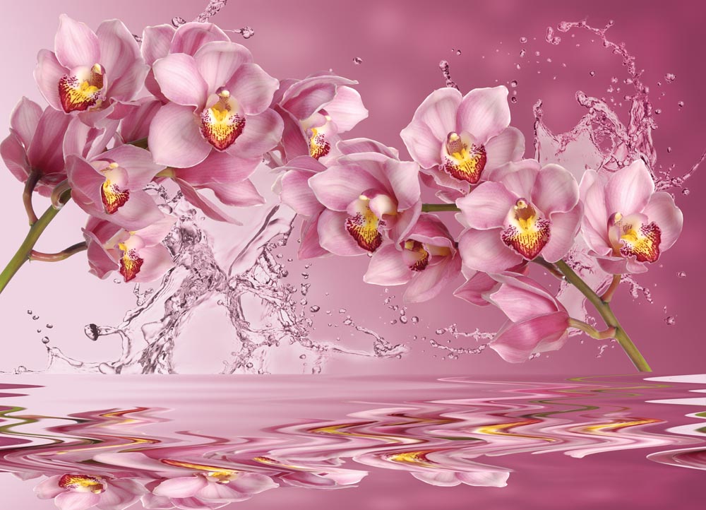 Фотообои WS Wallpaper 3D орхидеи 360x260 см (182)