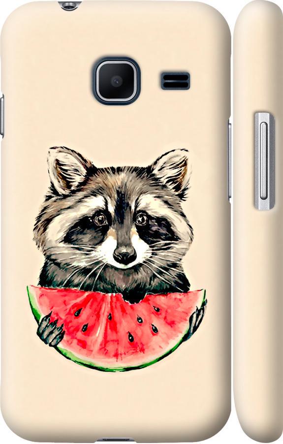 Чехол на Samsung Galaxy J1 Mini J105H Енотик с арбузом (4605m-258-42517)