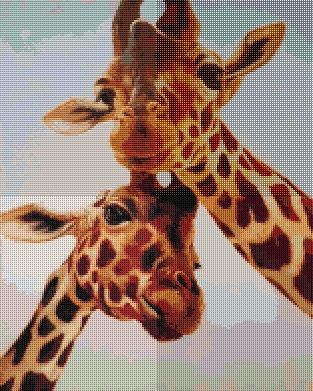 Алмазная мозаика Brushme Родственные души на холсте с подрамником 40х50 см (DBS1223)