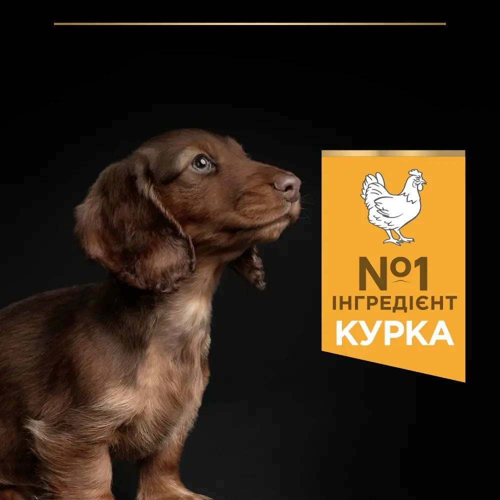 Сухой корм для щенков и молодых собак Pro Plan Puppy Small & Mini 3 кг курица - фото 5 Сухой корм для щенков и молодых собак Pro Plan Puppy Small & Mini 3 кг курица - фото 5
