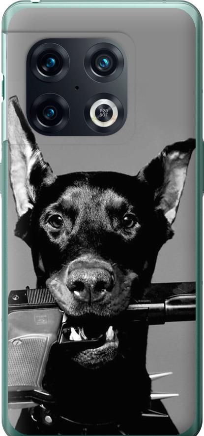 Чехол на OnePlus 10 Pro Доберман (2745u-2588-42517)