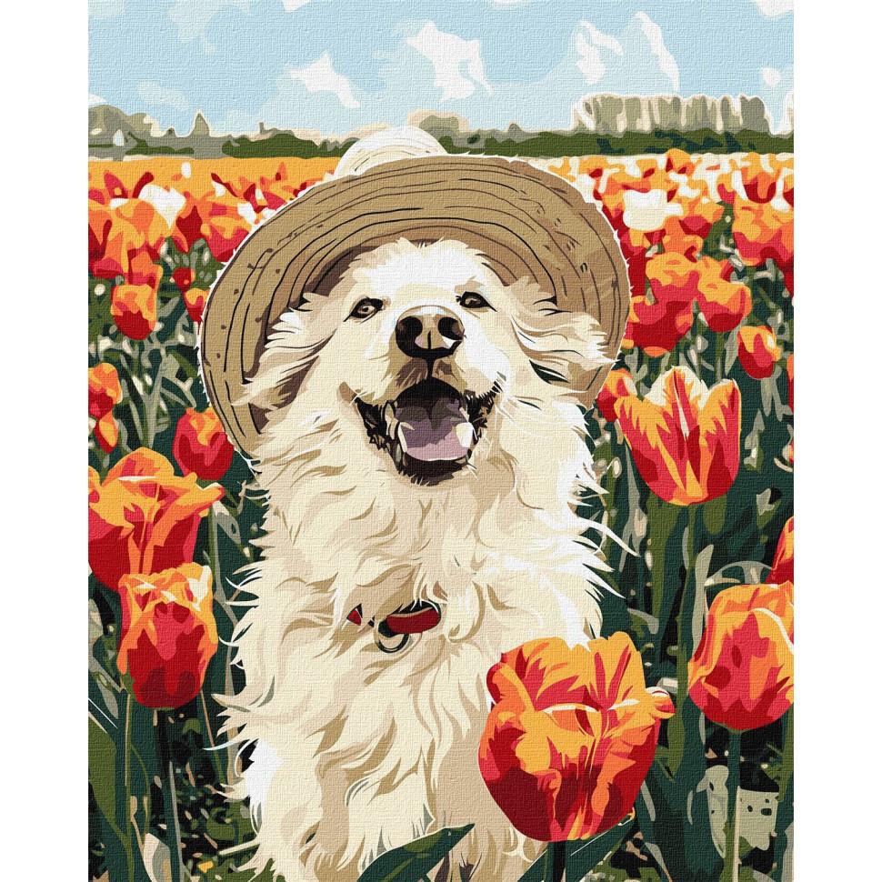 Картина по номерам Ideyka Счастливый лабрадор 40x50 см (KHO6623)