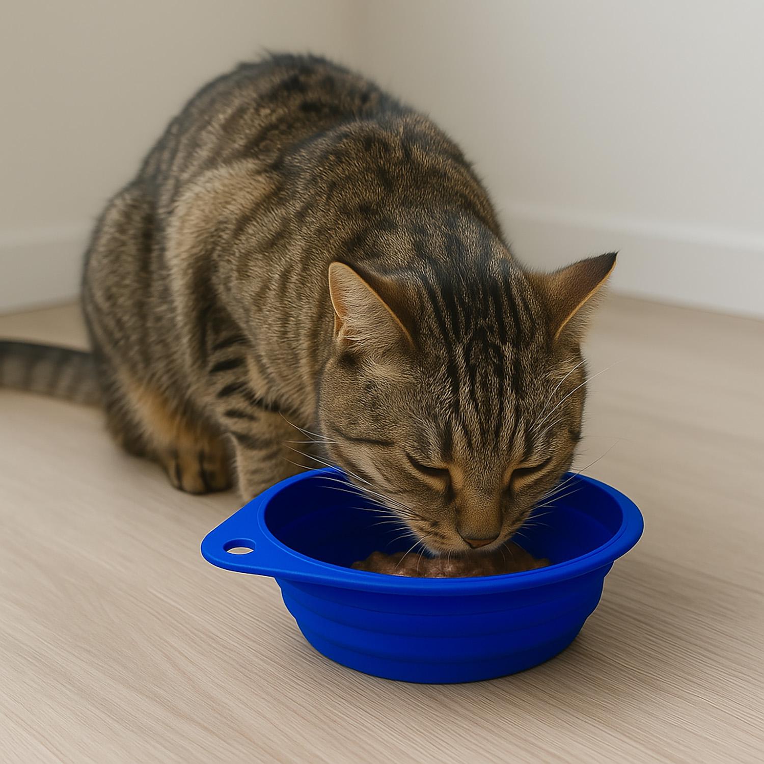 Миска для котів та собак складна силіконова Синій (87156) - фото 3 Миска для котів та собак складна силіконова Синій (87156) - фото 3