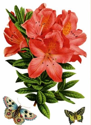 Декоративная наклейка Арт-Декор 42 Букет 50х70 см (2000000535494)