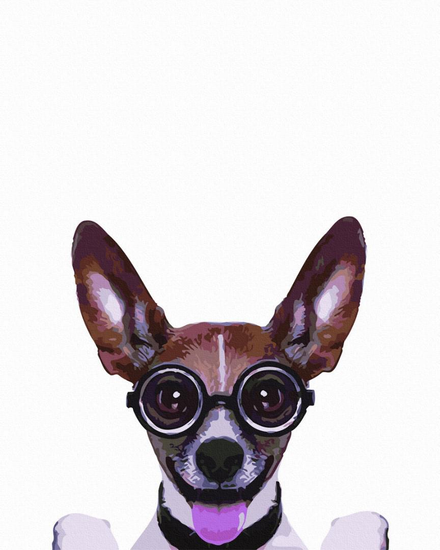 Картина по номерам Brushme Полет нормальный 40x50 см (GX5805)