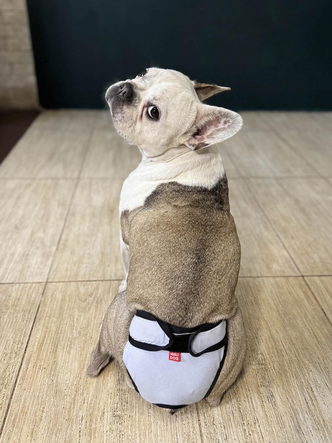 Труси гігієнічні для котів та собак Waudog Vet на липучках XXS Сірий (2495453425) - фото 15