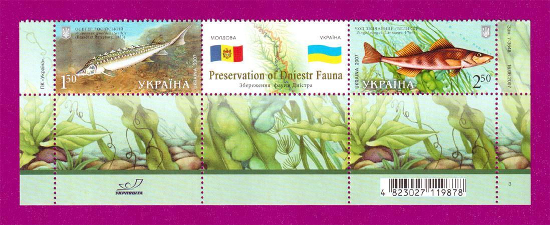 Почтовые марки Украины 2007 года низ листа Украина-Молдова Сохранение фауны Днестра (200750008) Почтовые марки Украины 2007 года низ листа Украина-Молдова Сохранение фауны Днестра (200750008)