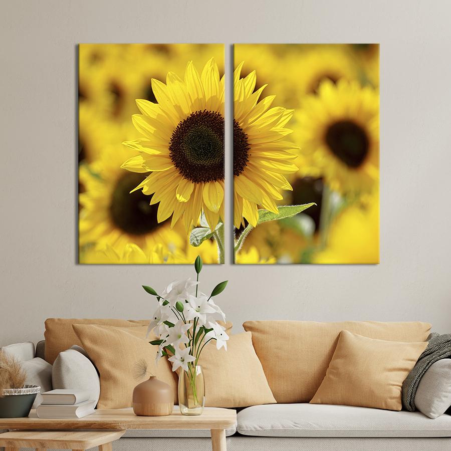 Картина на холсте Милые декоративные подсолнухи 71x51 см (952-2)