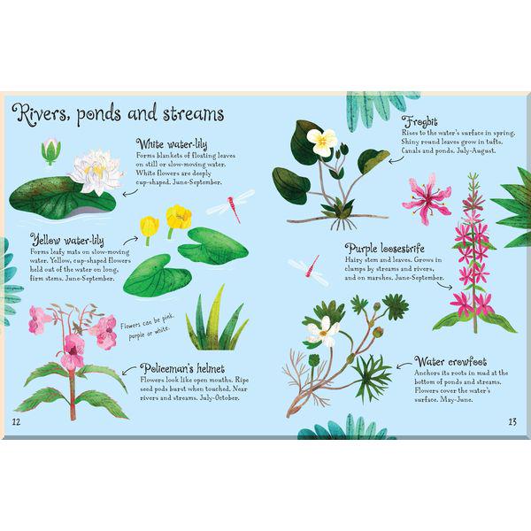 Книга Usborne "Flowers to Spot" Sam Smith/Stephanie Fizer Coleman (ISBN:9781474952163) - фото 4