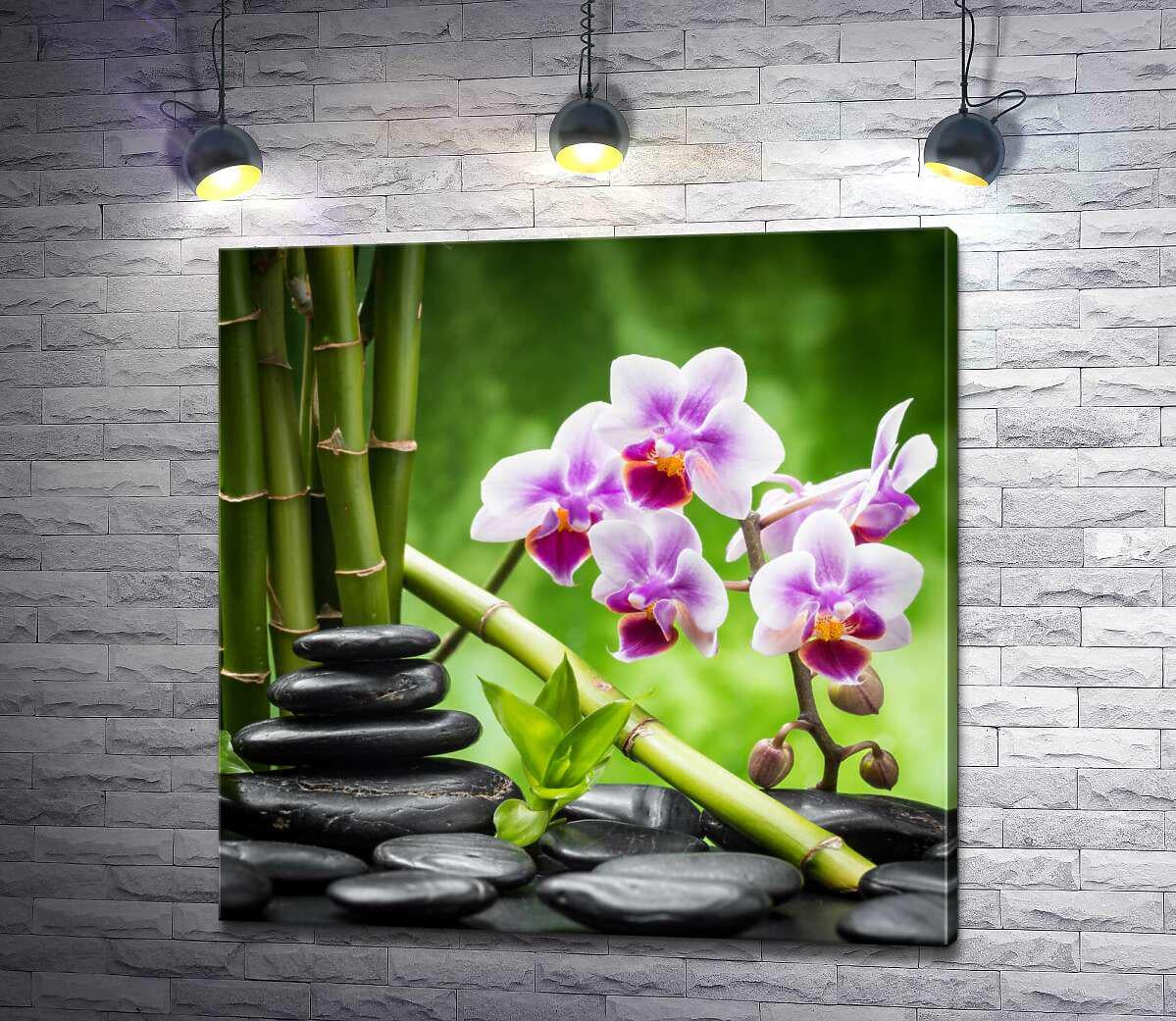 Картина ArtPoster Успокоение природой: черные камни рядом с орхидеей и бамбуком 50x50 см Модуль №1 (002898)