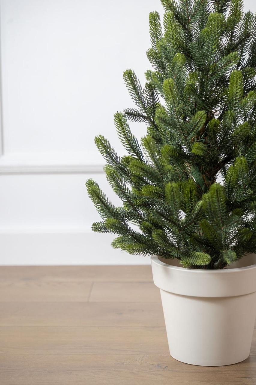 Ялинка лита SG Віденська в горщику весняна 0,70 м - фото 4 Ялинка лита SG Віденська в горщику весняна 0,70 м - фото 4