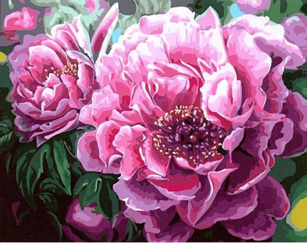 Картина по номерам BrushMe Великолепные пионы 40x50 см (BRM4667) Картина по номерам BrushMe Великолепные пионы 40x50 см (BRM4667)