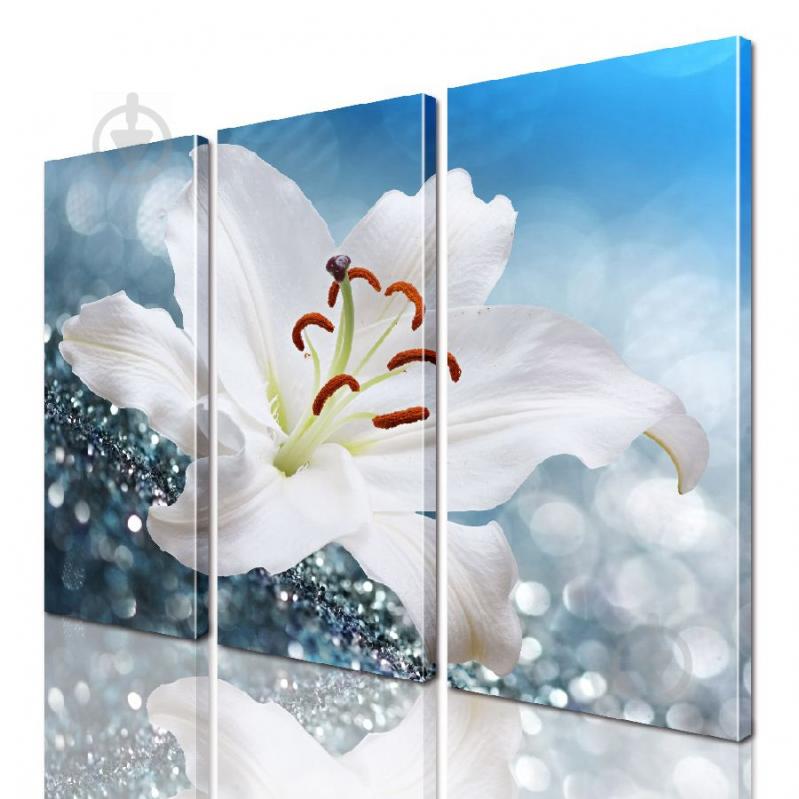 Модульная картина ArtStar цветы ADFL0182 размер 150 х 180 см