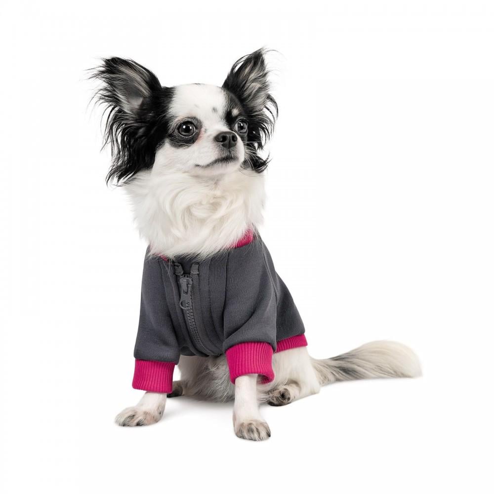 Толстовка Pet Fashion Bimдля собак XS2 Серый - фото 2