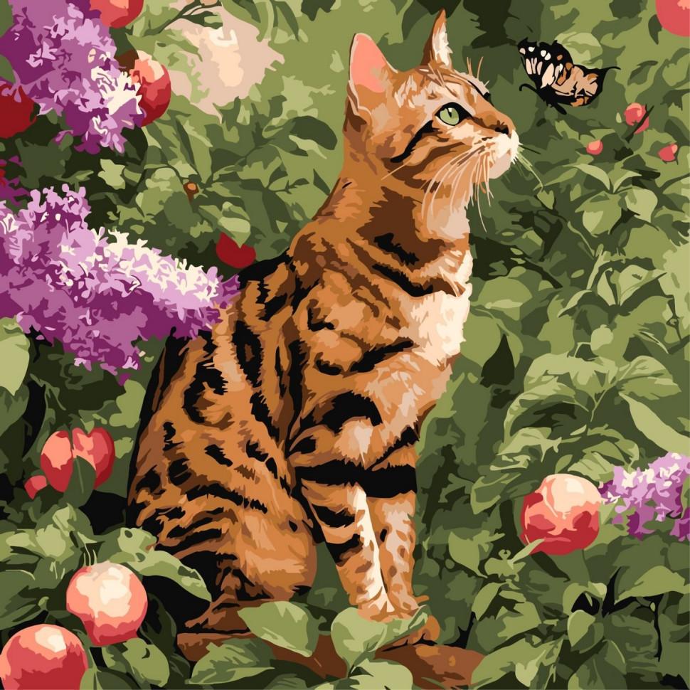 Картина по номерам Ideyka Бенгальский кот 40x40 см (KHO6794)