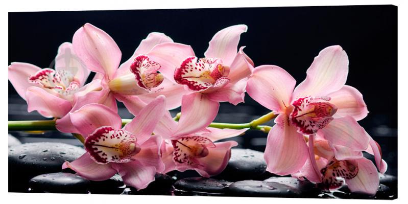 Картина на холсте Декор Карпаты Цветы 50х100 см (c1383)