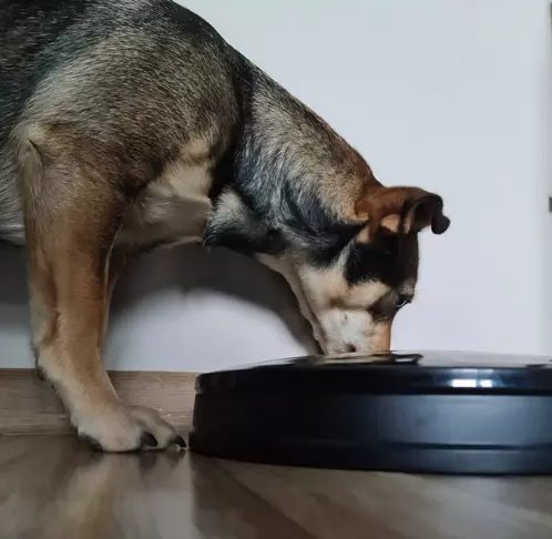 Автоматическая кормушка для собак и кошек Purlov Черный (20759) - фото 4