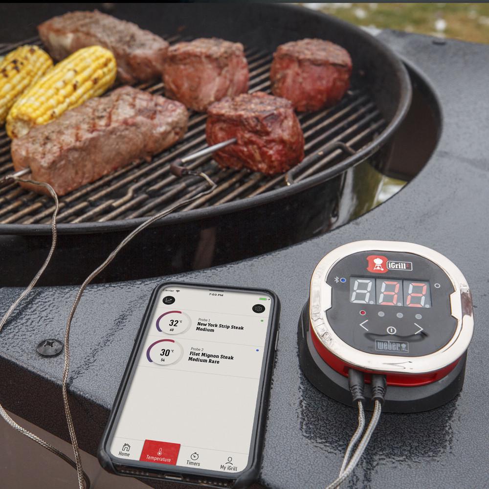 Термометр IGrill 2 Weber (7221) - фото 3