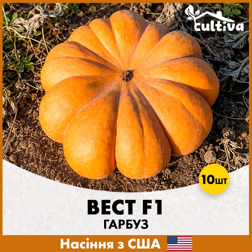 Семена тыквы Spark Seeds Вест F1 10 шт. (R51272)