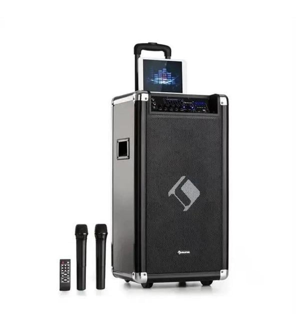 Акустическая система Auna 120 PA (10032290)