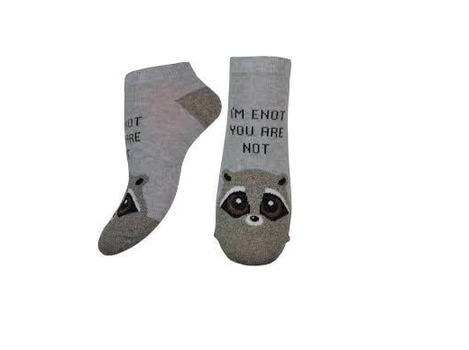 Носки женские демисезонные Легка хода 5379 спортивные р. 23 Серебряный меланжевый