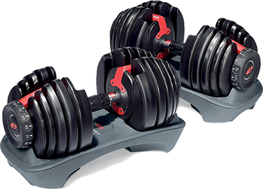 Гантели сборные Bowflex SelectTech 1090i 4-40 кг (Bowflex1090i)