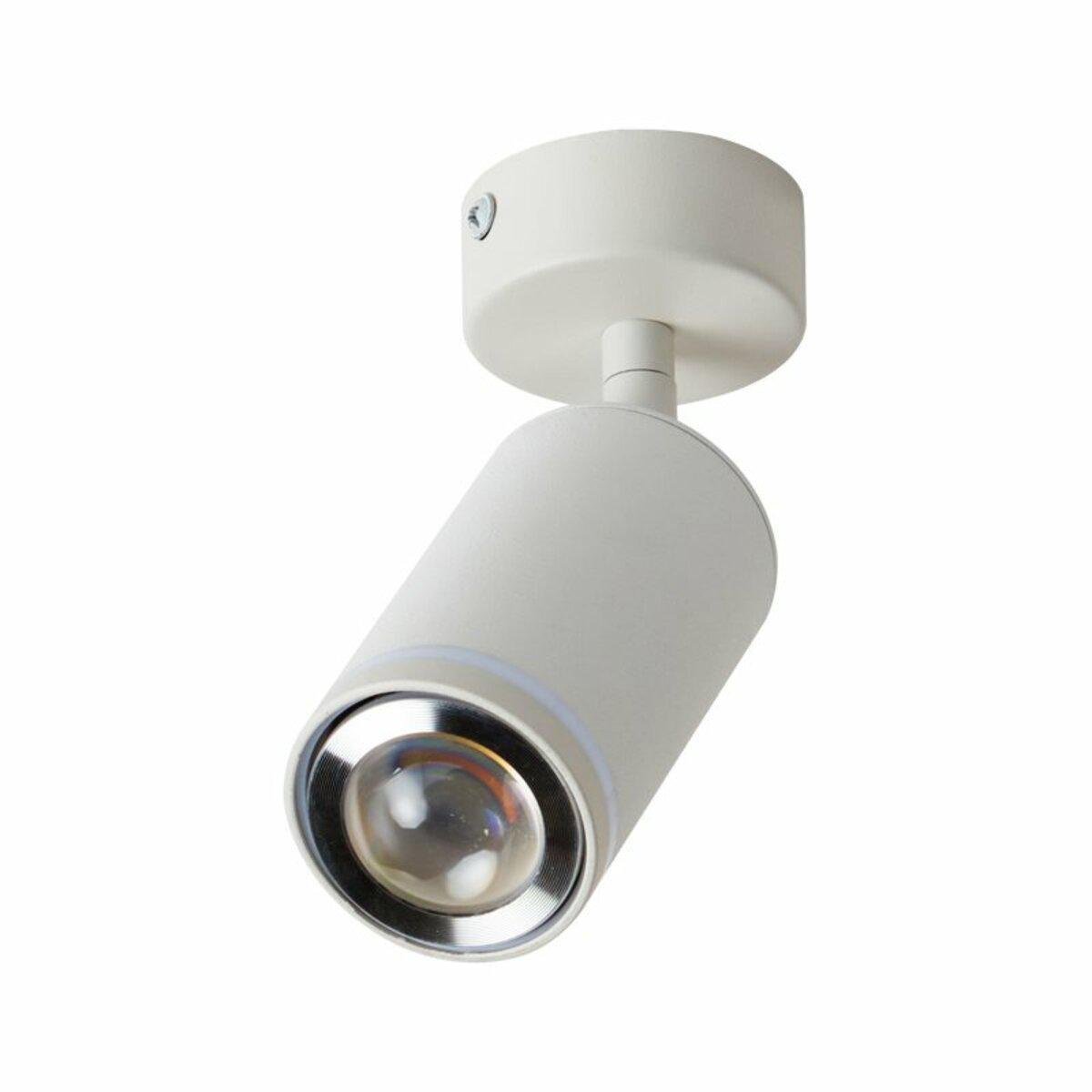 Світильник спот настінно-стельовий Light House SRS-20060/1 WH Білий