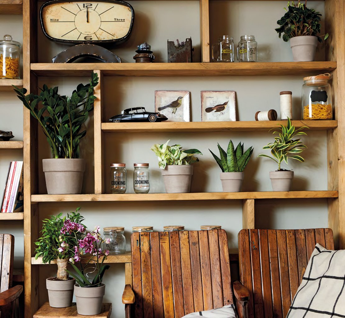 Горшок с поддоном DEROMA альто 24х22 см 5,3 л Мокко (000006326) - фото 3 Горшок с поддоном DEROMA альто 24х22 см 5,3 л Мокко (000006326) - фото 3