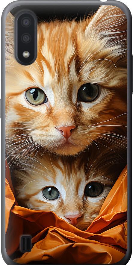 Чехол на Samsung Galaxy A01 A015F Котики 2 (5664t-1842-42517)