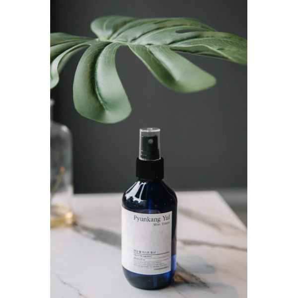 Тонер Pyunkang Yul Mist Toner охлаждающий 100 мл - фото 2