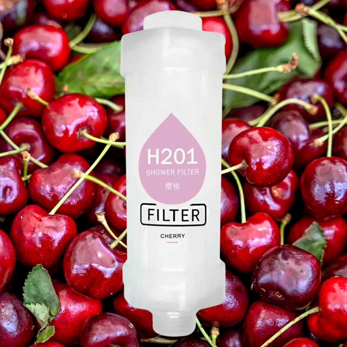 Подарунковий набір фільтрів для душу H201 "Ягідна насолода" (5713) - фото 4 Подарунковий набір фільтрів для душу H201 "Ягідна насолода" (5713) - фото 4