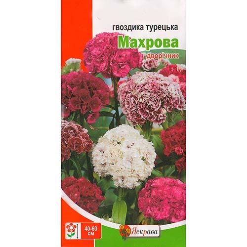 Гвоздика Florium Турецька махрова (12286) - фото 2