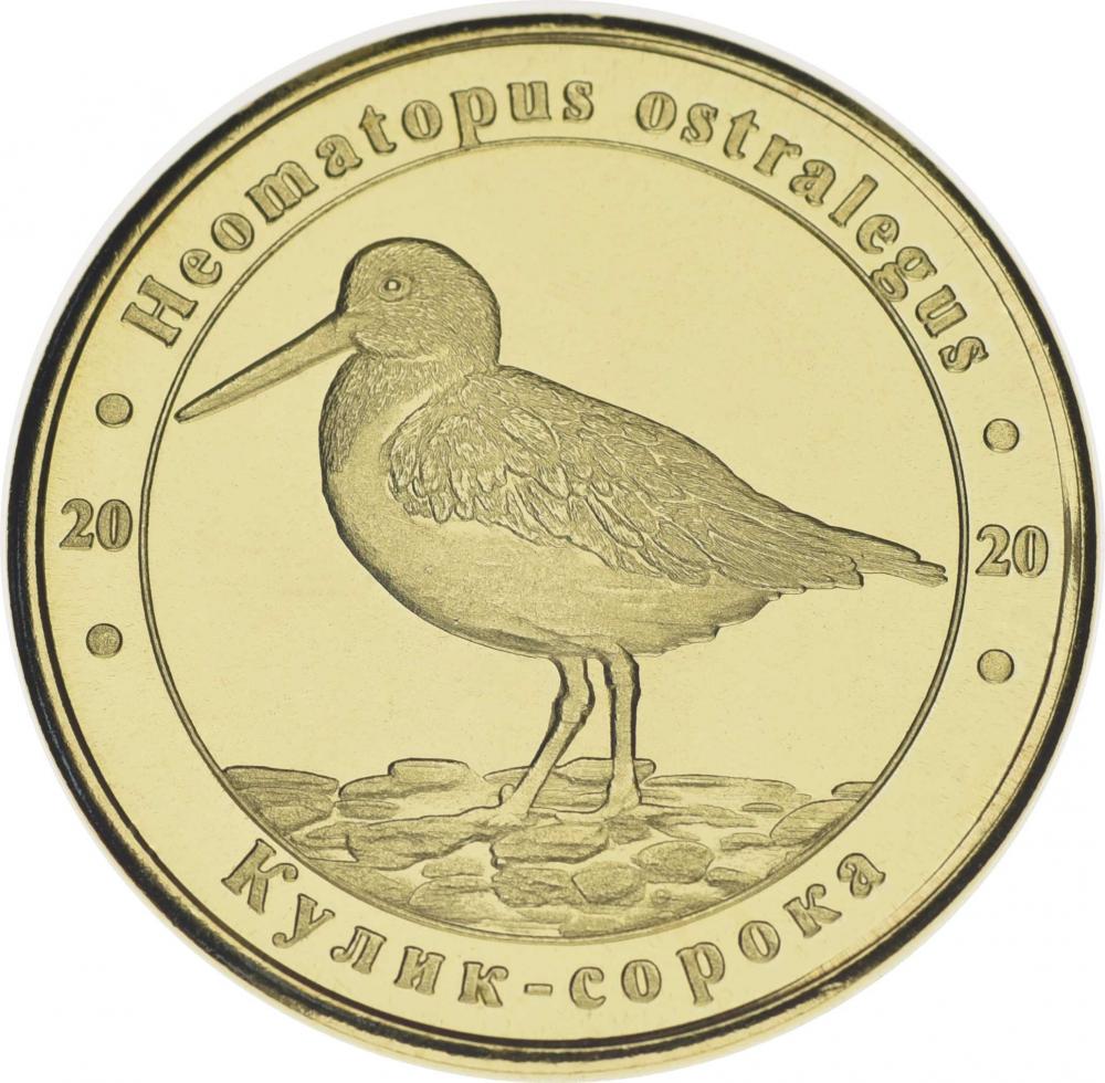 Коллекционная монета Украина 1 злотник 2020 Красная книга Украины Кулик-сорока UNC