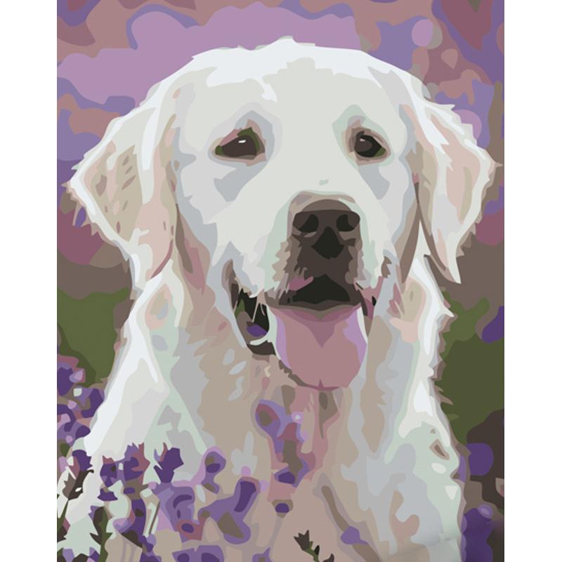 Картина по номерам Strateg Премиум Лабрадор в цветочном поле 40x50 см (GS1099)