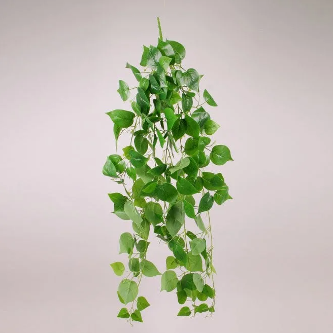 Букет Плюща декоративный Flora свисающий (72854) - фото 2 Букет Плюща декоративный Flora свисающий (72854) - фото 2