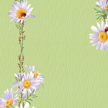 Обои моющиеся Континент 2092 Ремо 0,53x10,05 м Зеленый (2000000164496) Обои моющиеся Континент 2092 Ремо 0,53x10,05 м Зеленый (2000000164496)