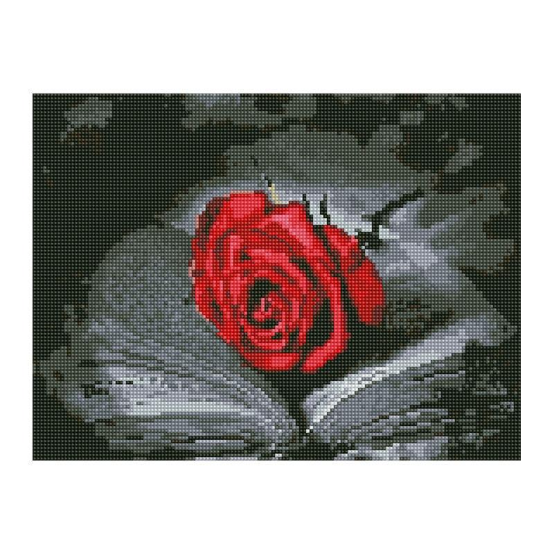 Алмазная мозаика Rainbow Art Роза на книге 40х30 см (EJ1358)